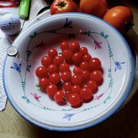 Tidy Treats, (F1) Tomato Seeds